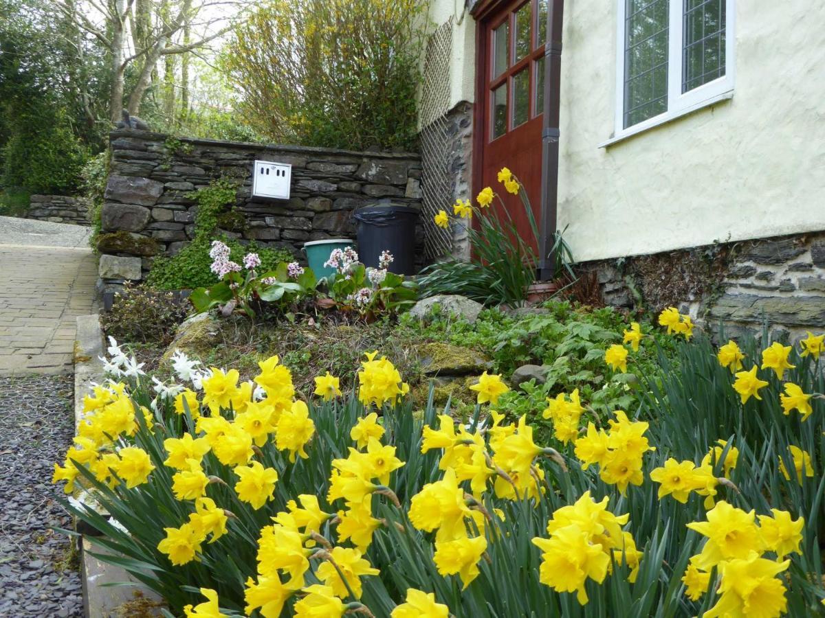 Hafannedd Vila Corwen Exterior foto